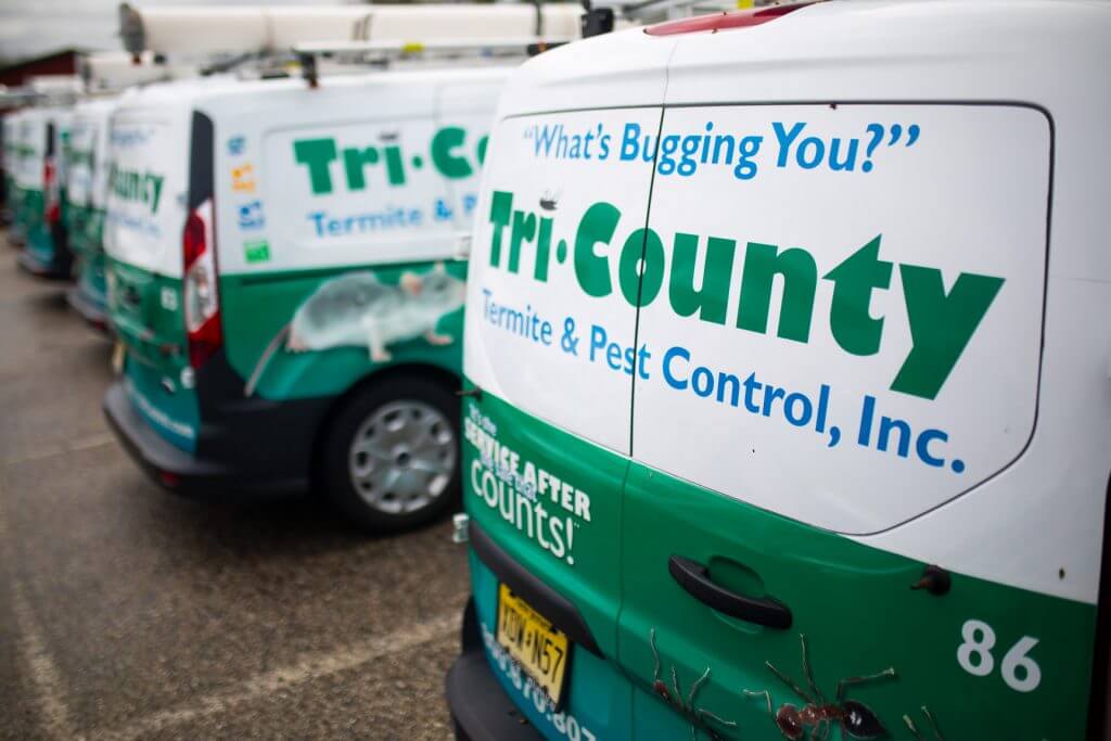 pest control service vans
