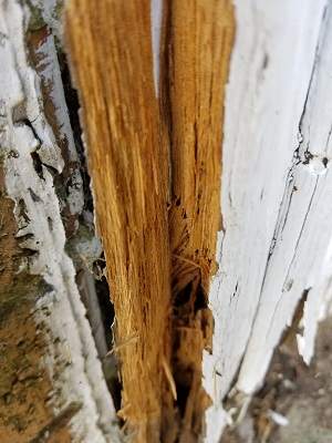 damaged-wood__1526938549_71.175.104.103