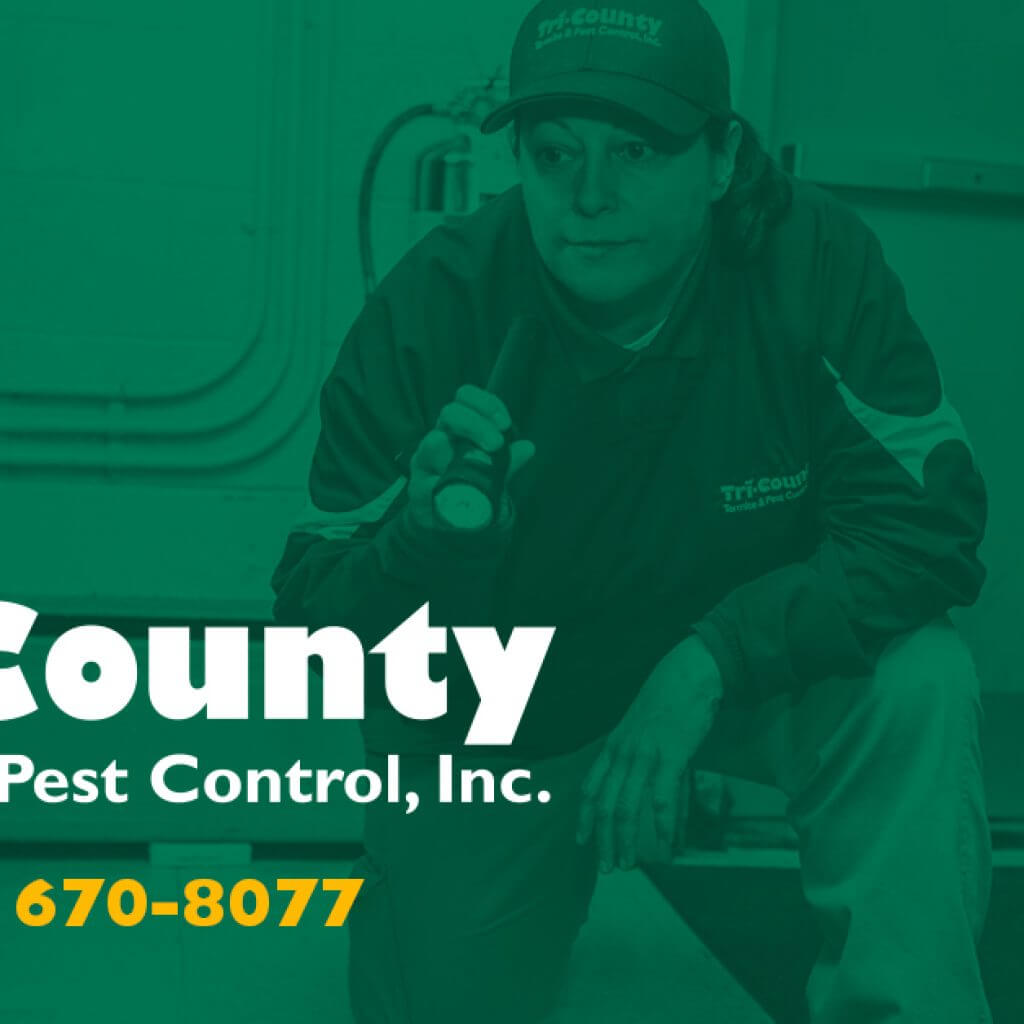 crouching pest control service tech